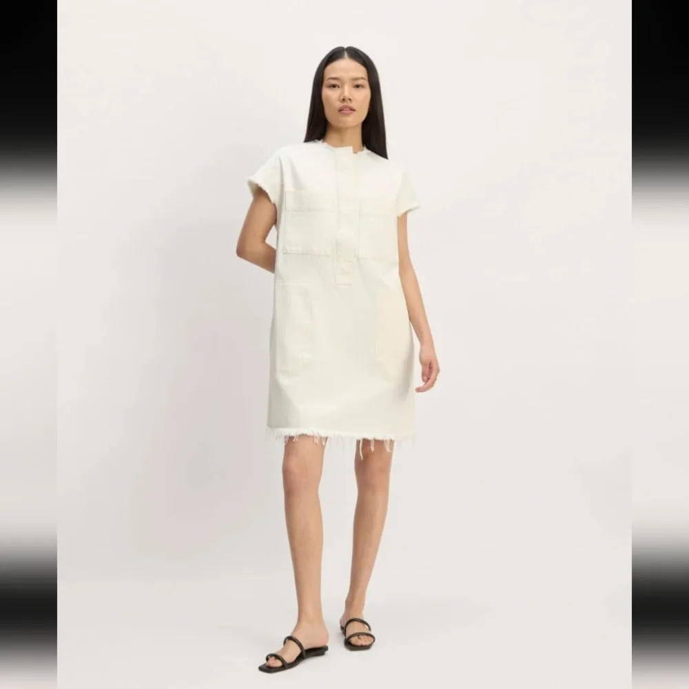 Everlane The Denim Workwear Shirtdress - Picture 1 of 10